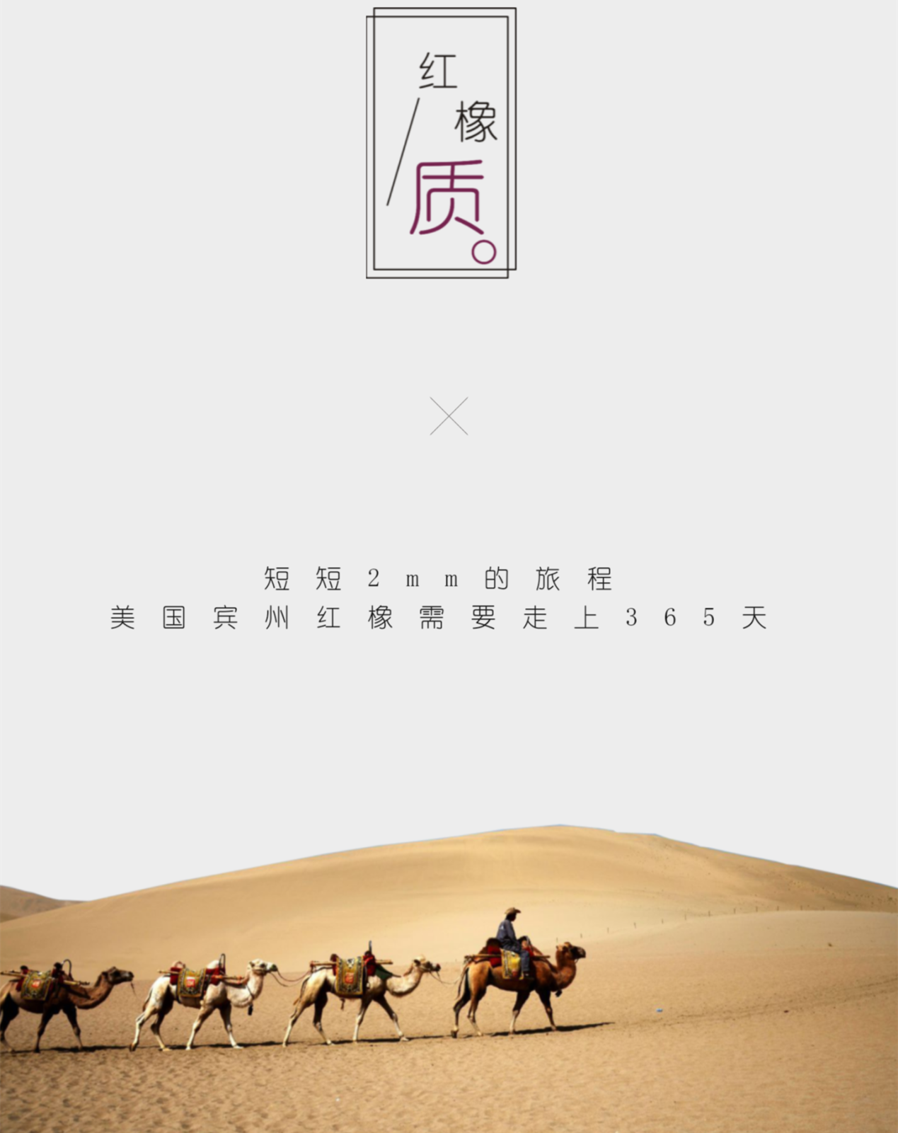 image009.png