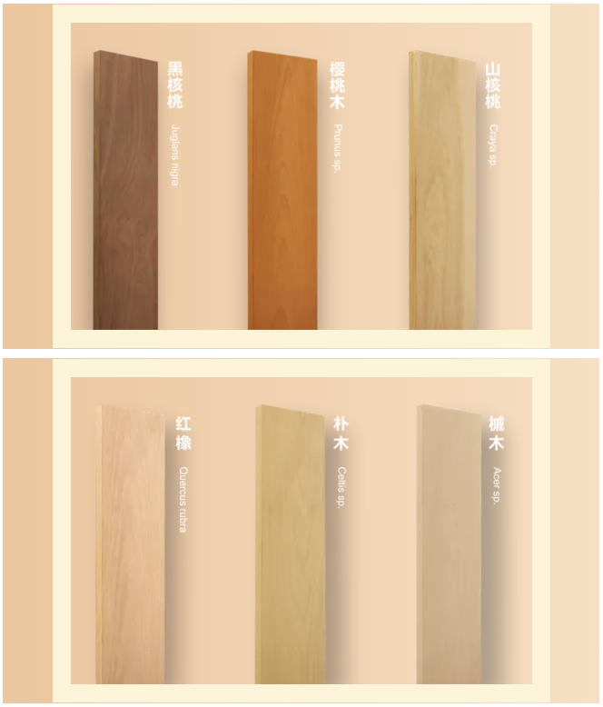 240330 (8).png