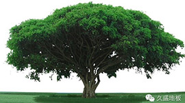 久盛·爱木周：请和我们共同倡导——