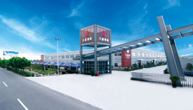 市科技局领导考核我司省级科技研发中心建设情况