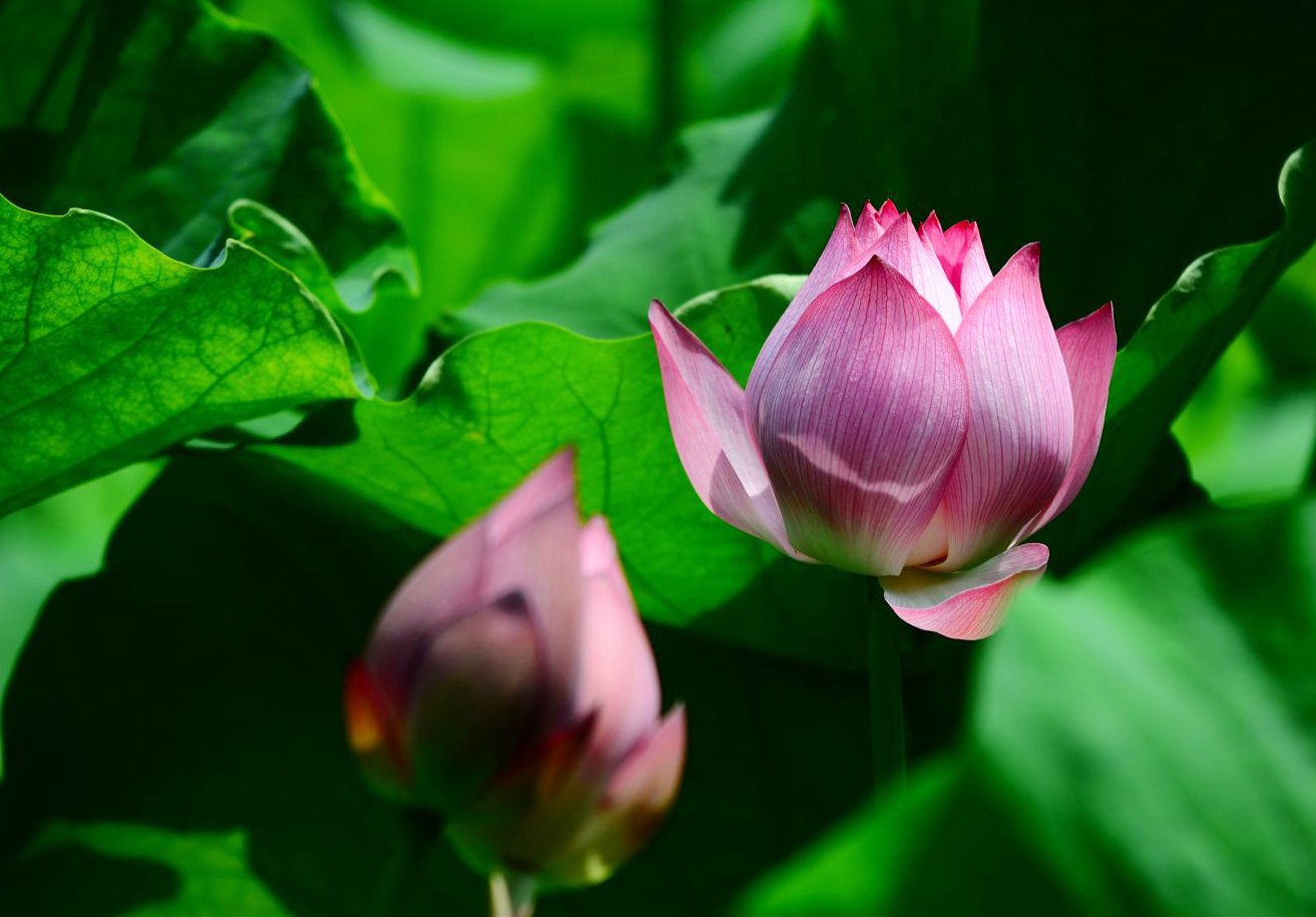 炎炎夏日，基层安全小分队，为公司安全生产保驾护航