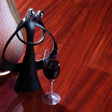 古老非洲的恩赐——“木中黄金”圆盘豆