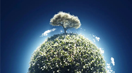 实木打造健康生活第一步