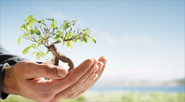 专注实木17年之二(致敬3.15）：坚持守护自我价值，是最好的守信