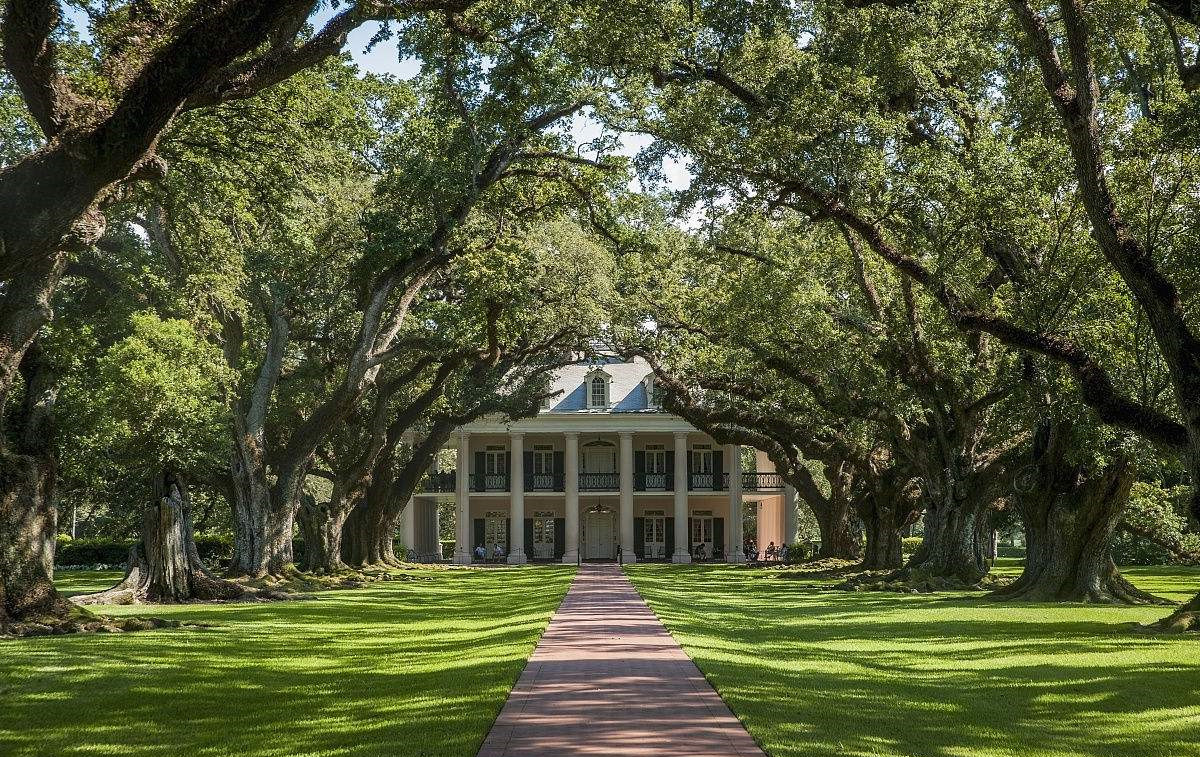 一起烧脑猜题揭真xiàng