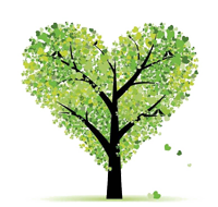 爱木者 | 以爱木之心敬木