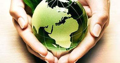 品类领导者：以消费需求为导向，做社会责任先锋