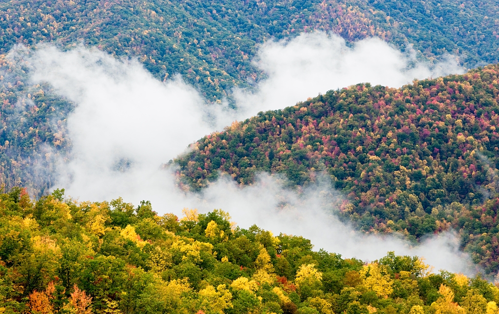 美国红橡：用健康与温暖，感恩生活