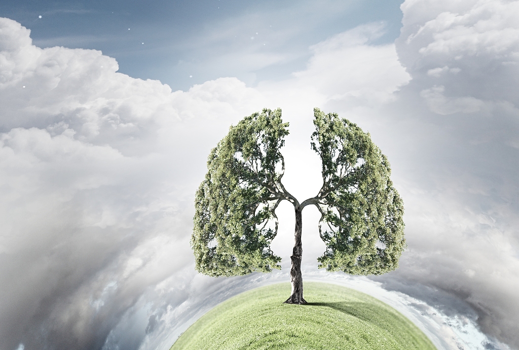 李凯夫：论木材保健（序）