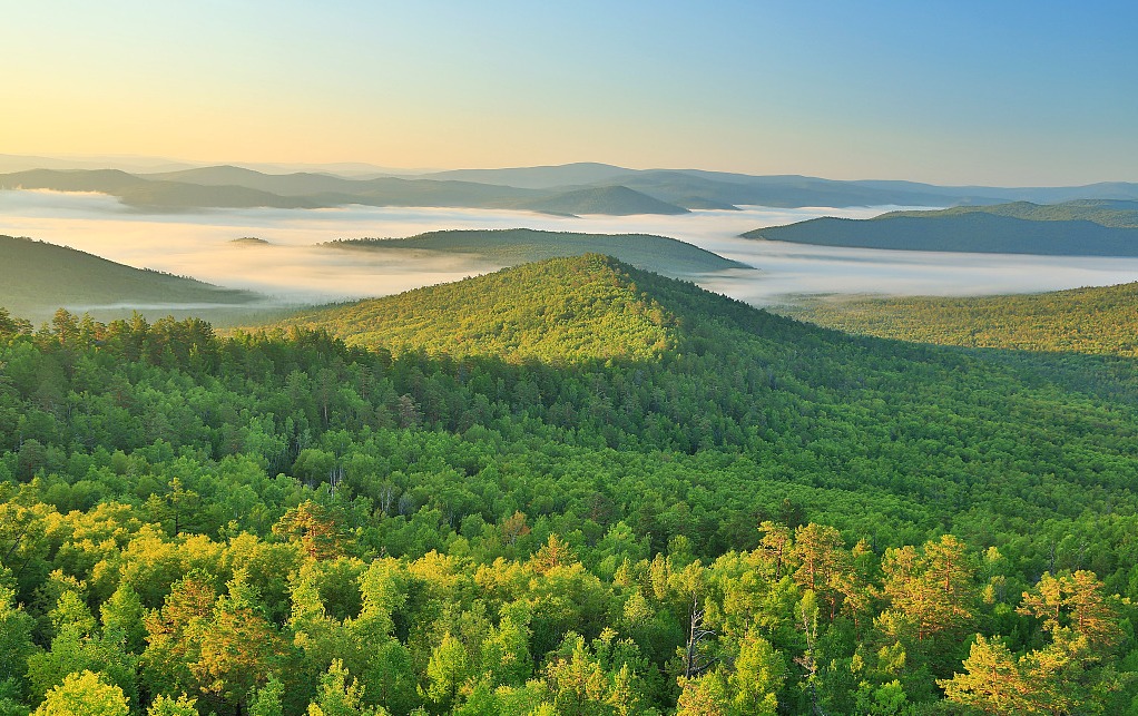 【专业详解】李凯夫：论木材保健（二）