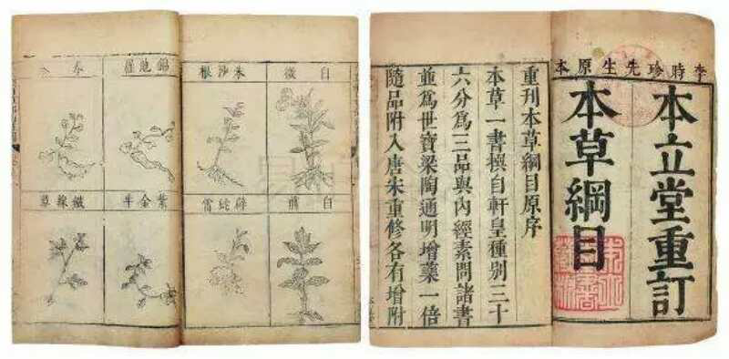 【专业详解】李凯夫：论木材保健（三）