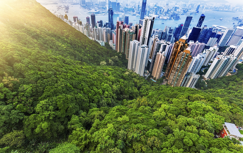 城市中的森林？等你遇见。