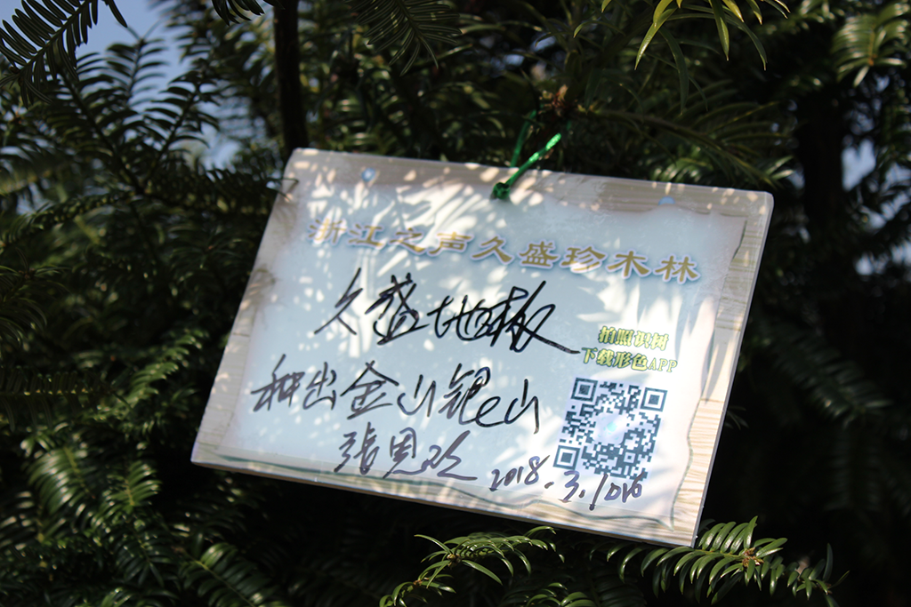 共植久盛树，打造森林浙江——久盛实木地暖地板公益助力浙江省“一亿株珍贵木”种植公益活动