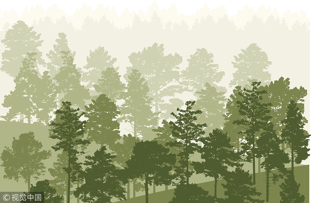 爱木周第五季 | 懂木，才有说爱的资格