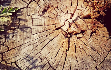 谁说锦鲤只有一条？久盛 · 爱木周第五季，2000部iPhone X限量放送！