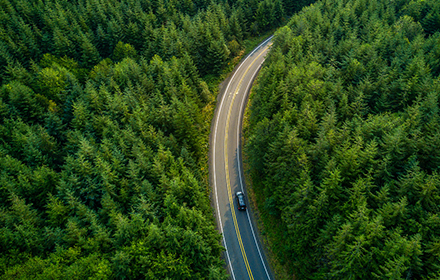 明星驾到 | 久盛牵手“冻龄”女神李若彤，向你发起“绿色与生命”的接力！