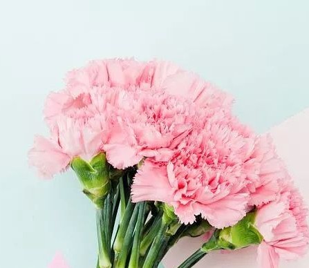 妇女节 | 致敬女人，久盛挺你