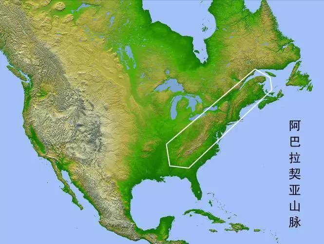 发现真“橡”：FAS级——选材的最高品质