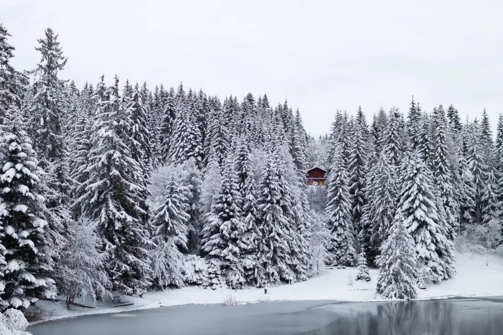 潮品季·潮木材 | 坚韧硬气的美国山核桃