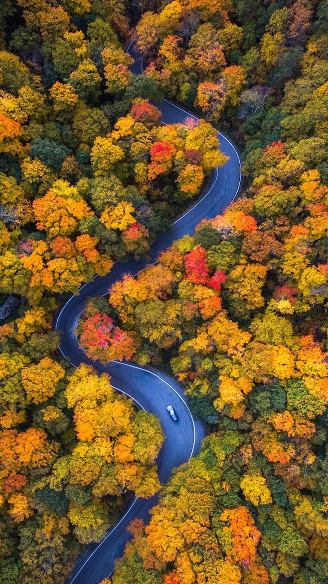 第六季•爱木周 | 连续六年,我们坚持做了这一件事……