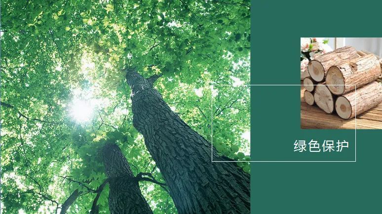 家中绿码|久盛地板，纯实木，更健康