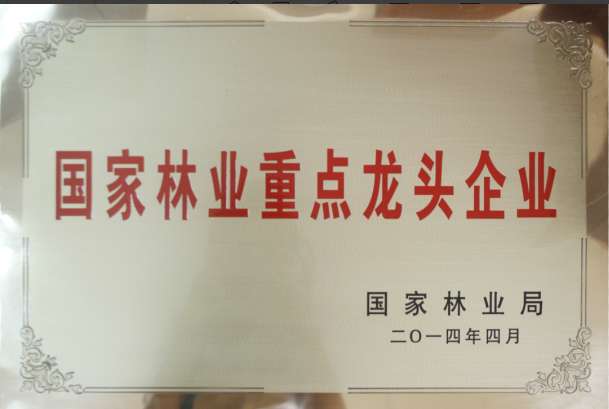 国家林业重点龙头企业