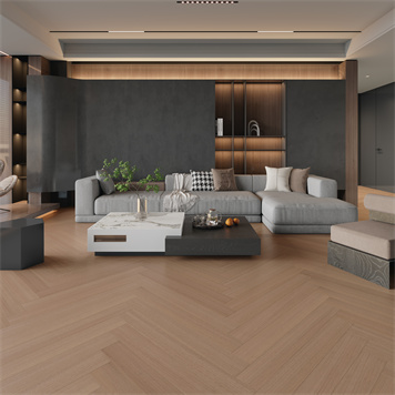 番龙眼-EX-24-A15-DR