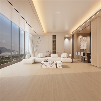 番龙眼-KX-24-A18-DR