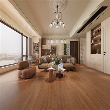 番龙眼-E-24-A19-DR