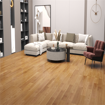 美国红栎-TGE-36-25-DR